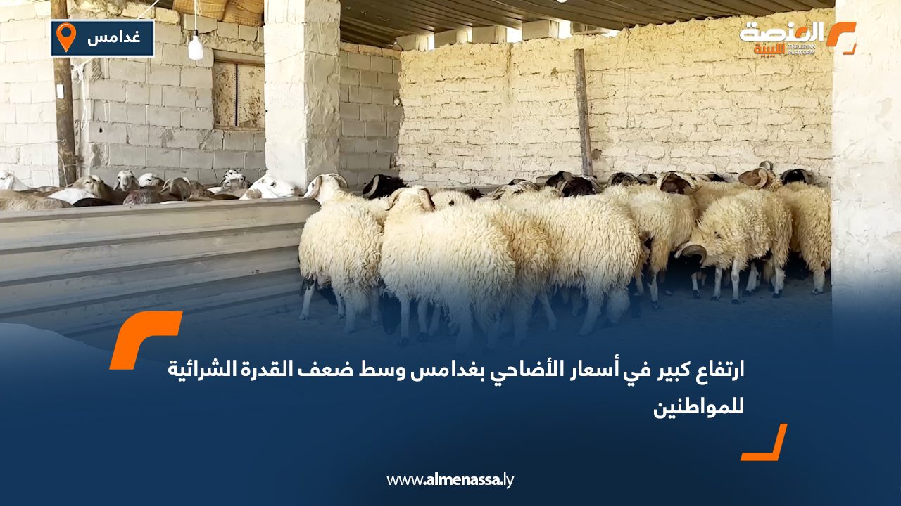 ارتفاع كبير في أسعار الأضاحي بغدامس وسط ضعف القدرة الشرائية للمواطنين