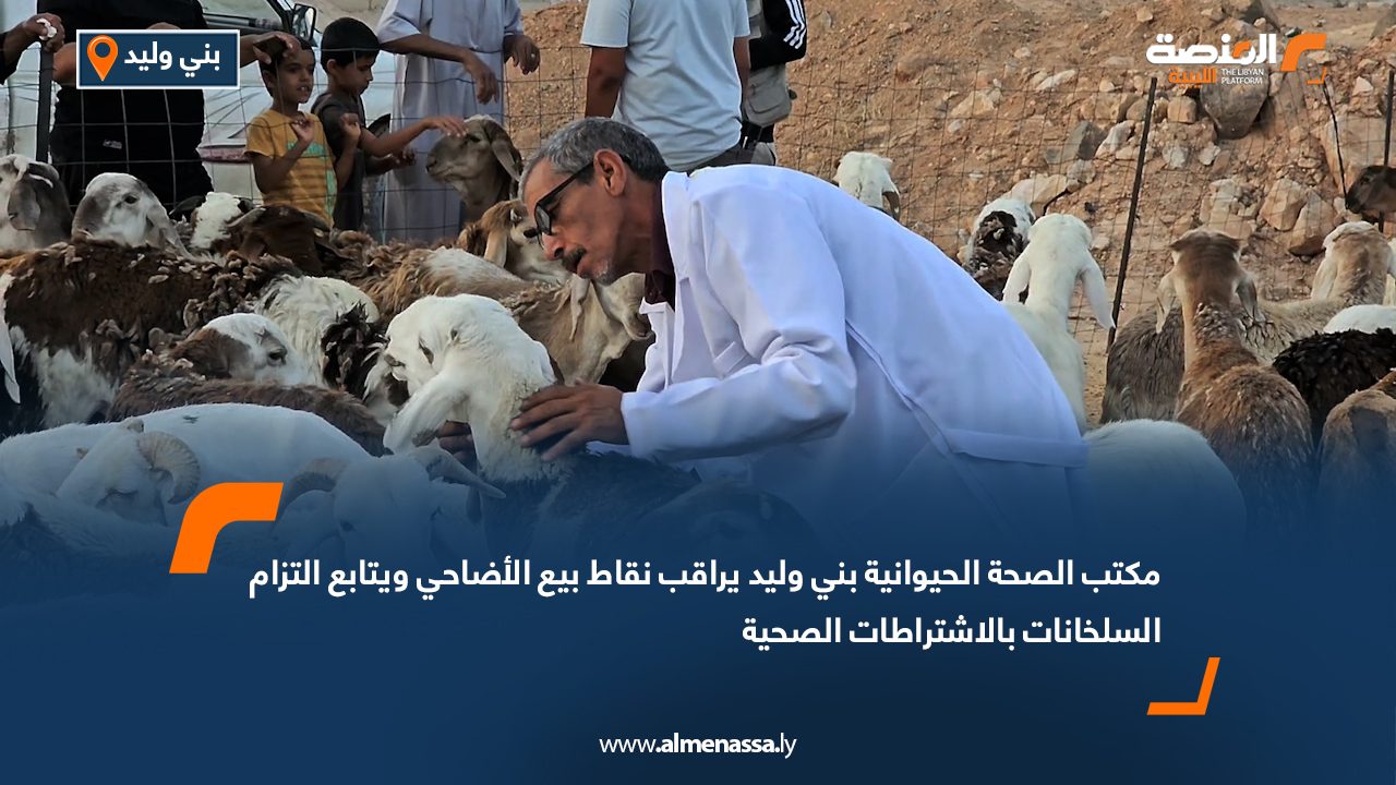 مكتب الصحة الحيوانية بني وليد يراقب نقاط بيع الأضاحي ويتابع التزام السلخانات بالاشتراطات الصحية