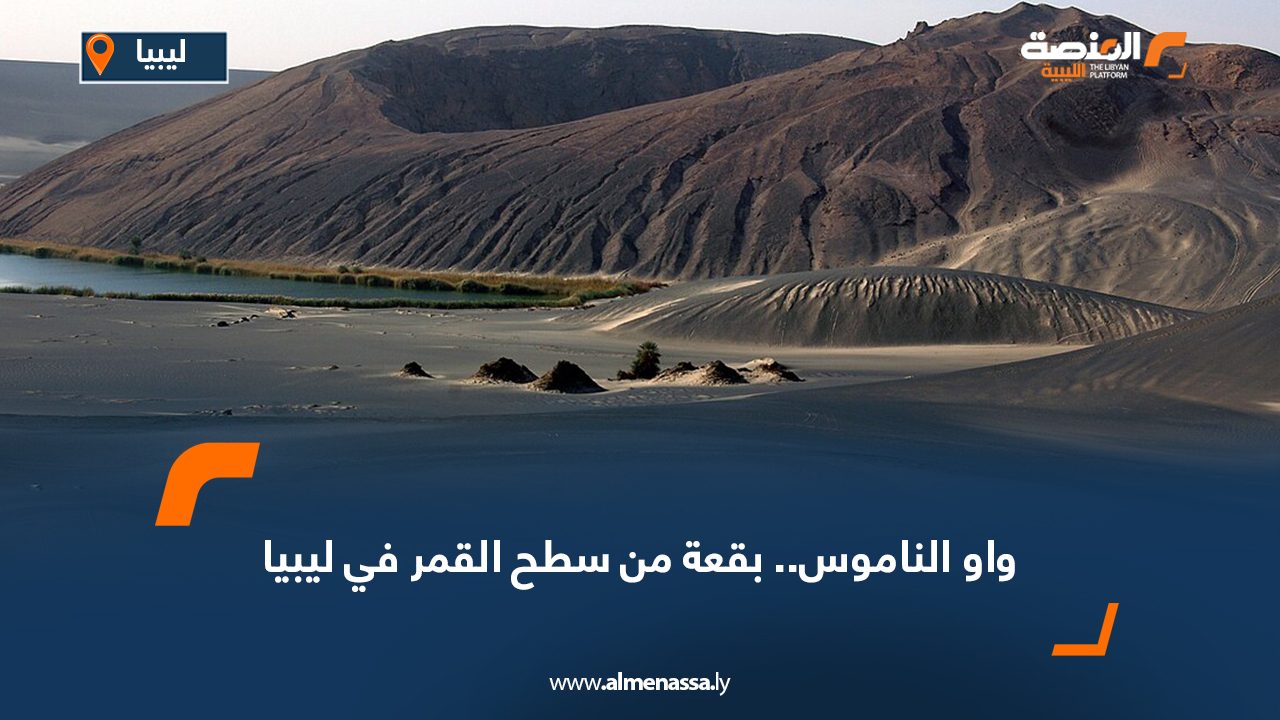 Wide-Web-382 Wide-Web-382