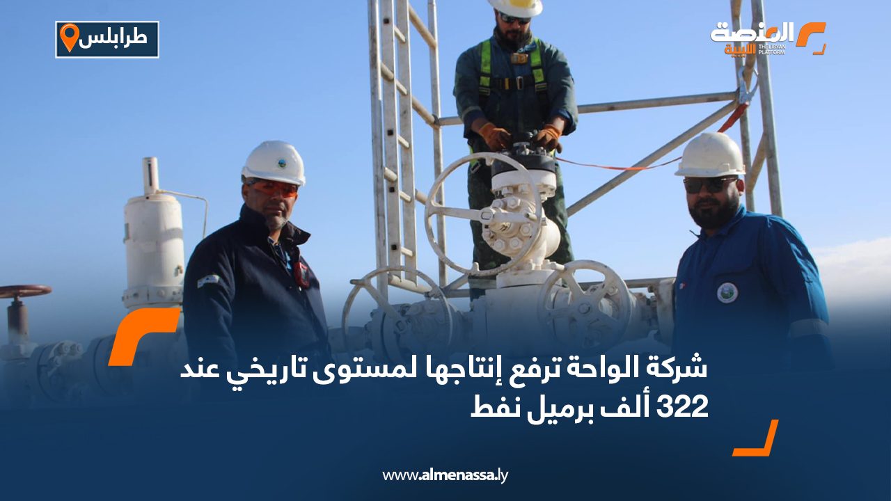 Wide-Web-389 Wide-Web-389