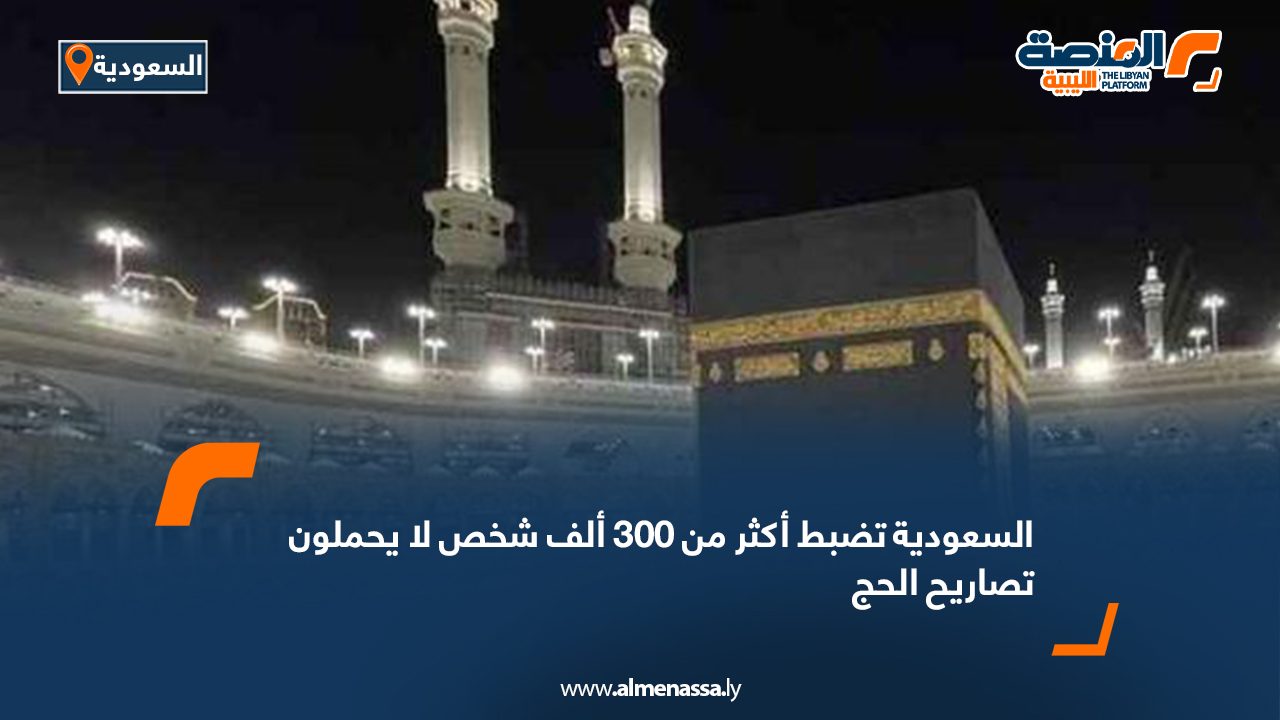 Wide-Web-393 Wide-Web-393