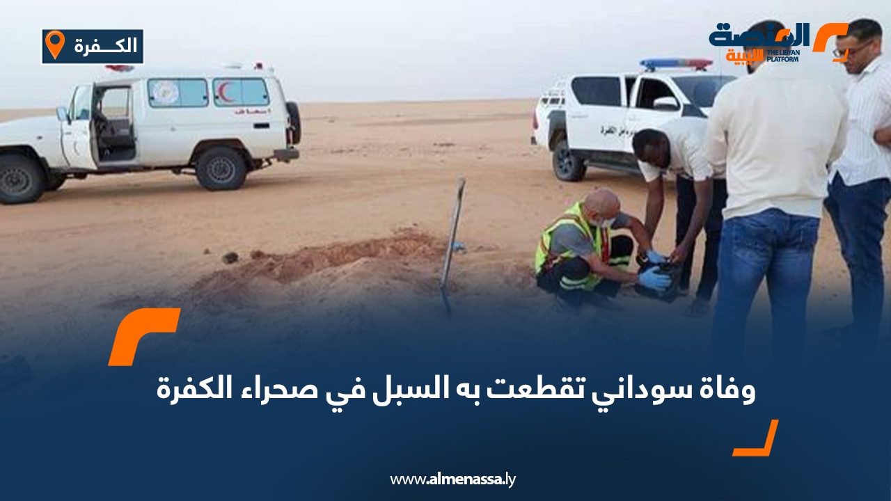 Wide-Web-428 Wide-Web-428