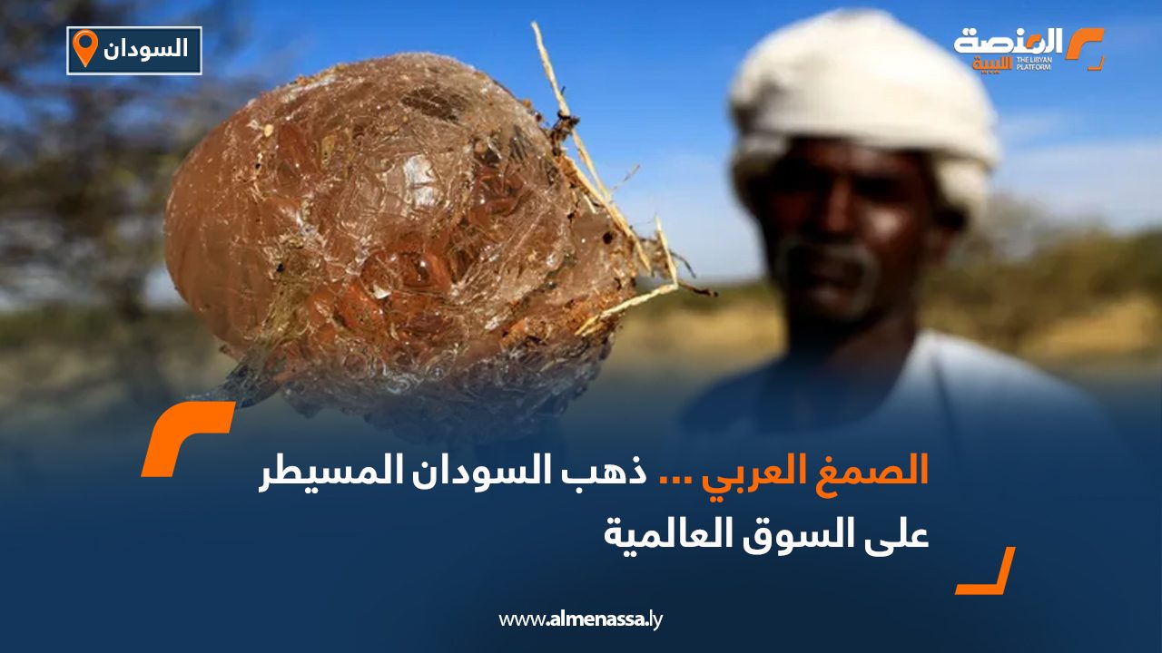 Wide-Web-478 Wide-Web-478