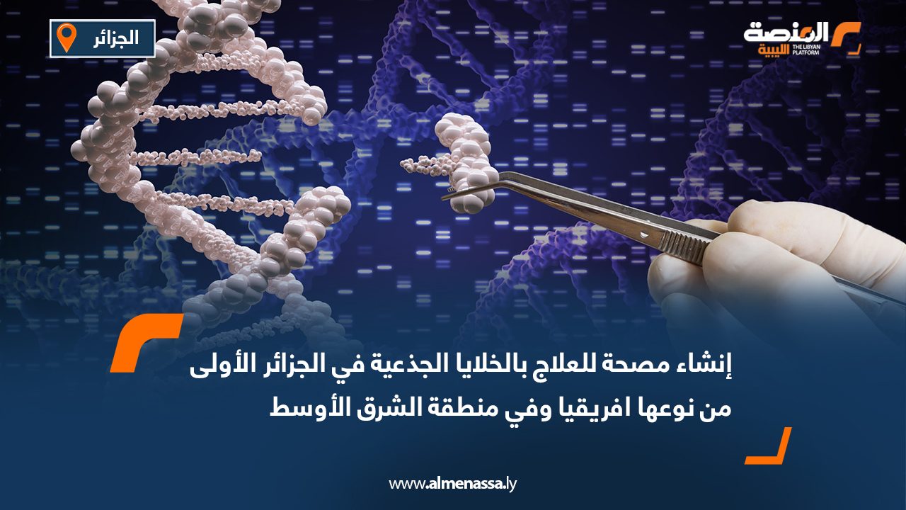 Wide Web إنشاء مصحة للعلاج بالخلايا الجذعية في الجزائر الأولى من نوعها افريقيا وفي منطقة الشرق الأوسط