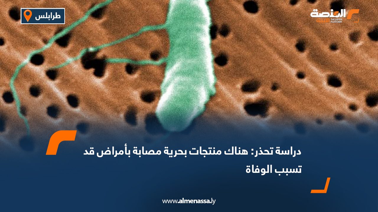 Wide Web دراسة تحذر: هناك منتجات بحرية مصابة بأمراض قد تسبب الوفاة