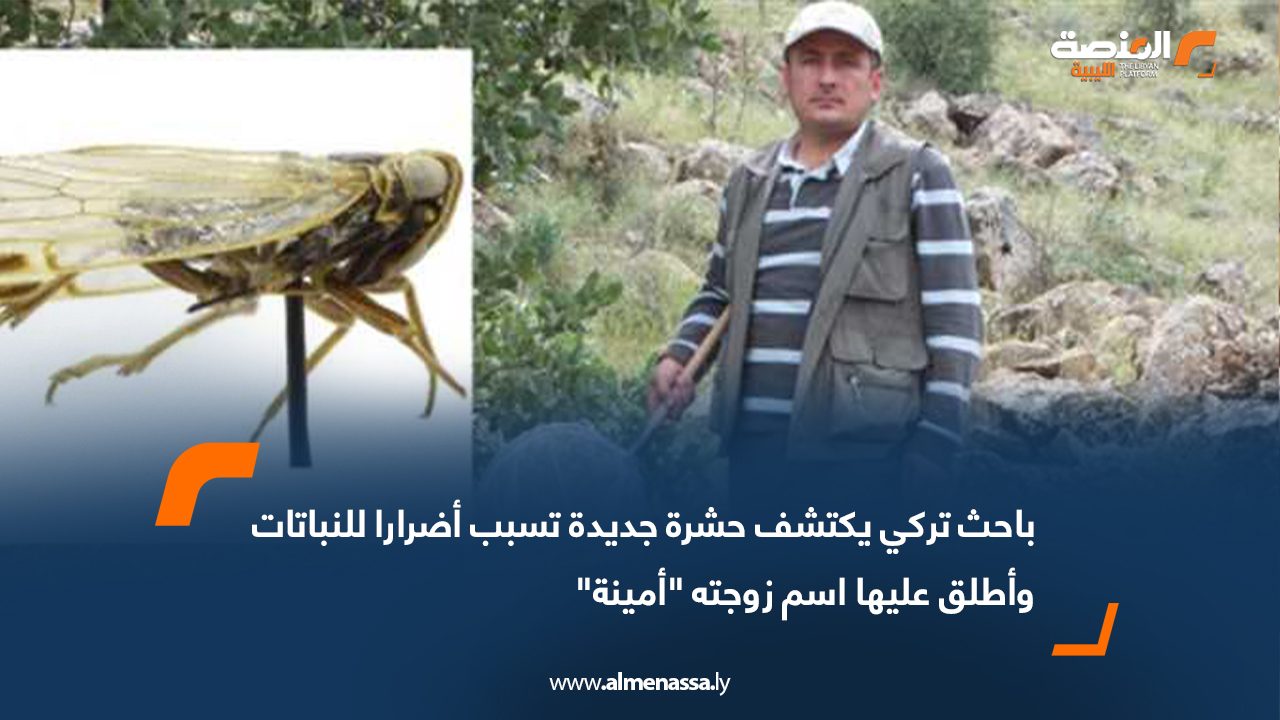 باحث تركي يكتشف حشرة جديدة تسبب أضرارا للنباتات وأطلق عليها اسم زوجته "أمينة"