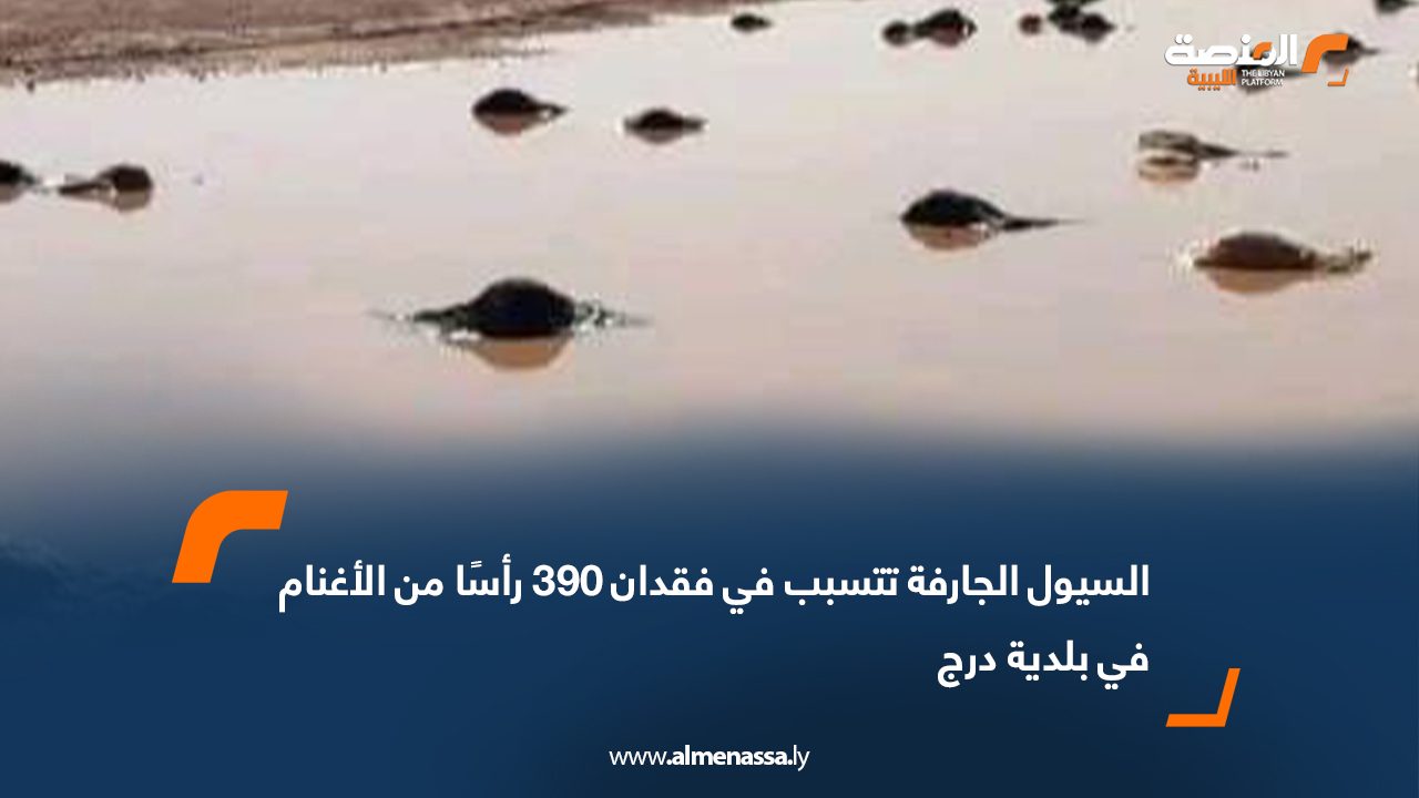 السيول الجارفة تتسبب في فقدان 390 رأسًا من الأغنام في بلدية درج