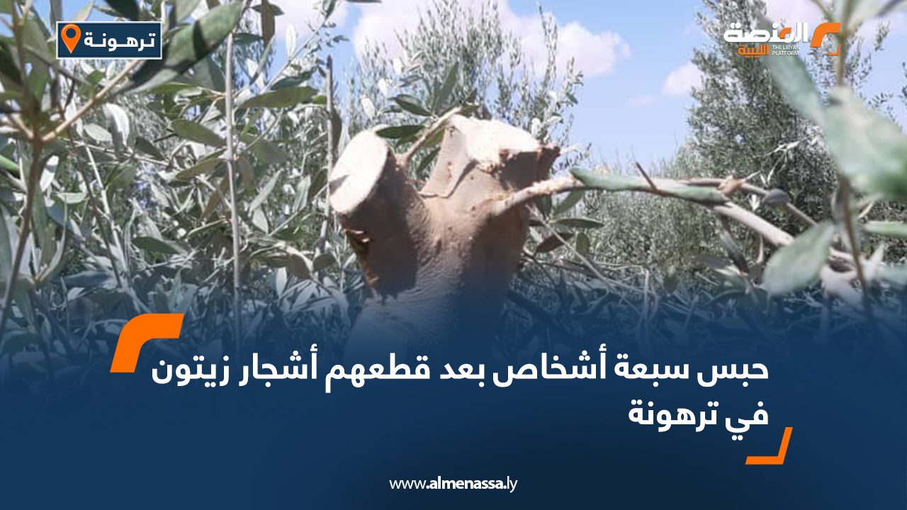حبس سبعة أشخاص بعد قطعهم أشجار زيتون في ترهونة