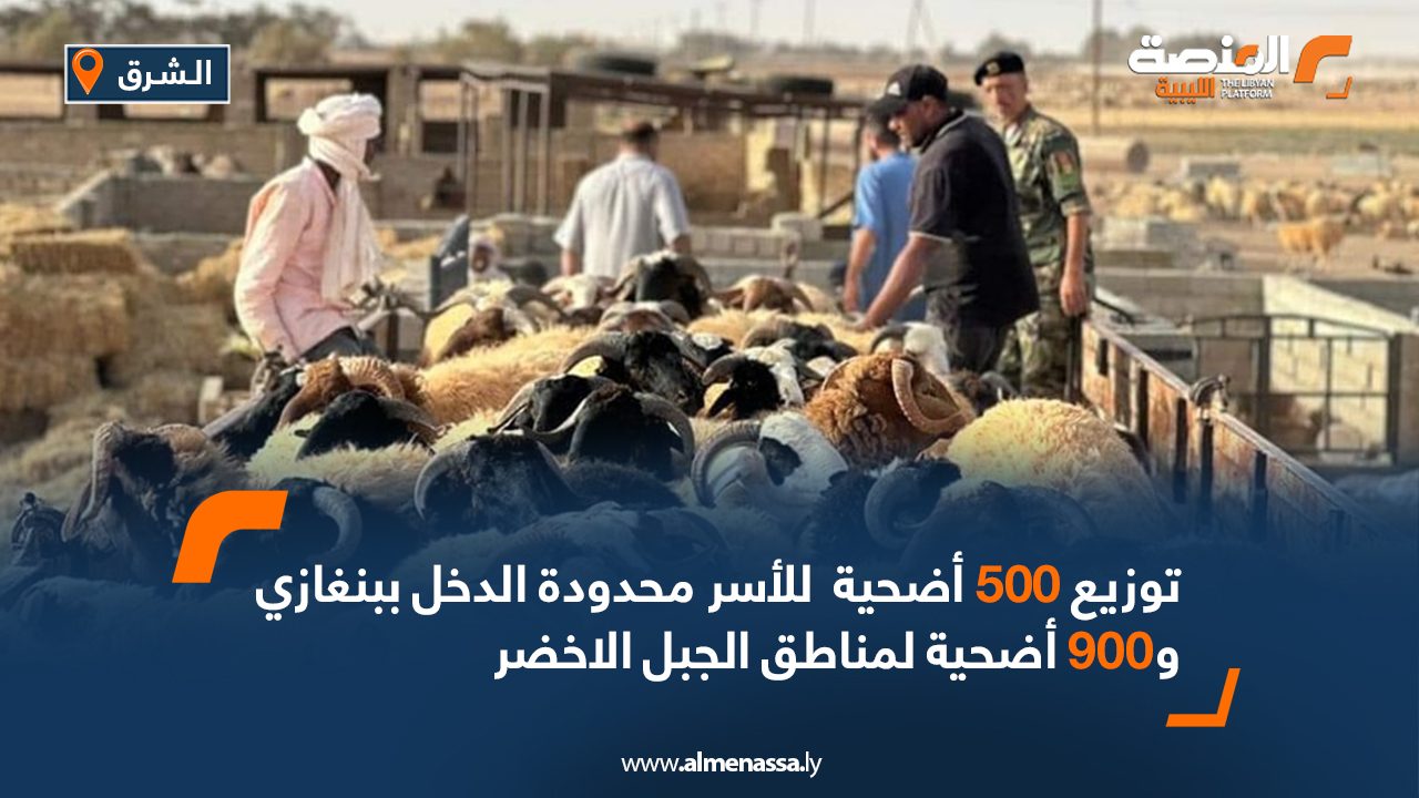 Wide-Web-643 Wide-Web-643