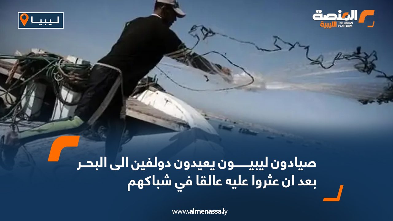 Wide-Web-657 Wide-Web-657