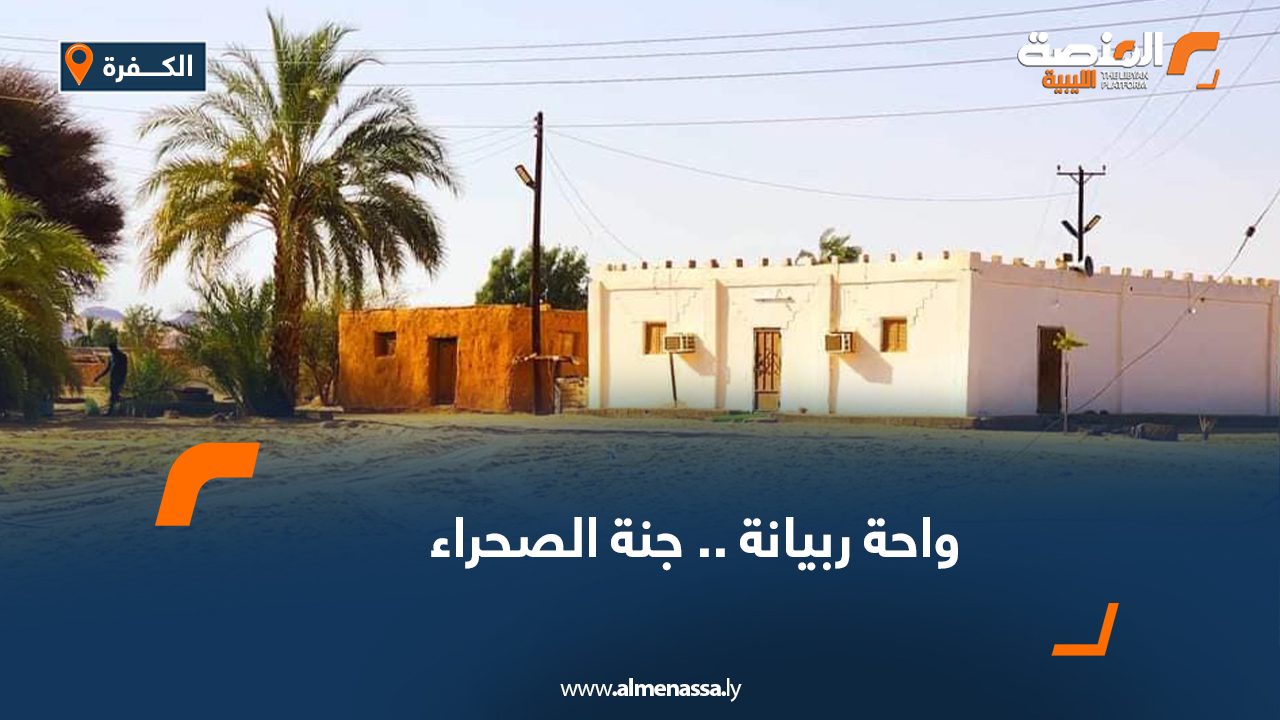 Wide-Web-667 Wide-Web-667