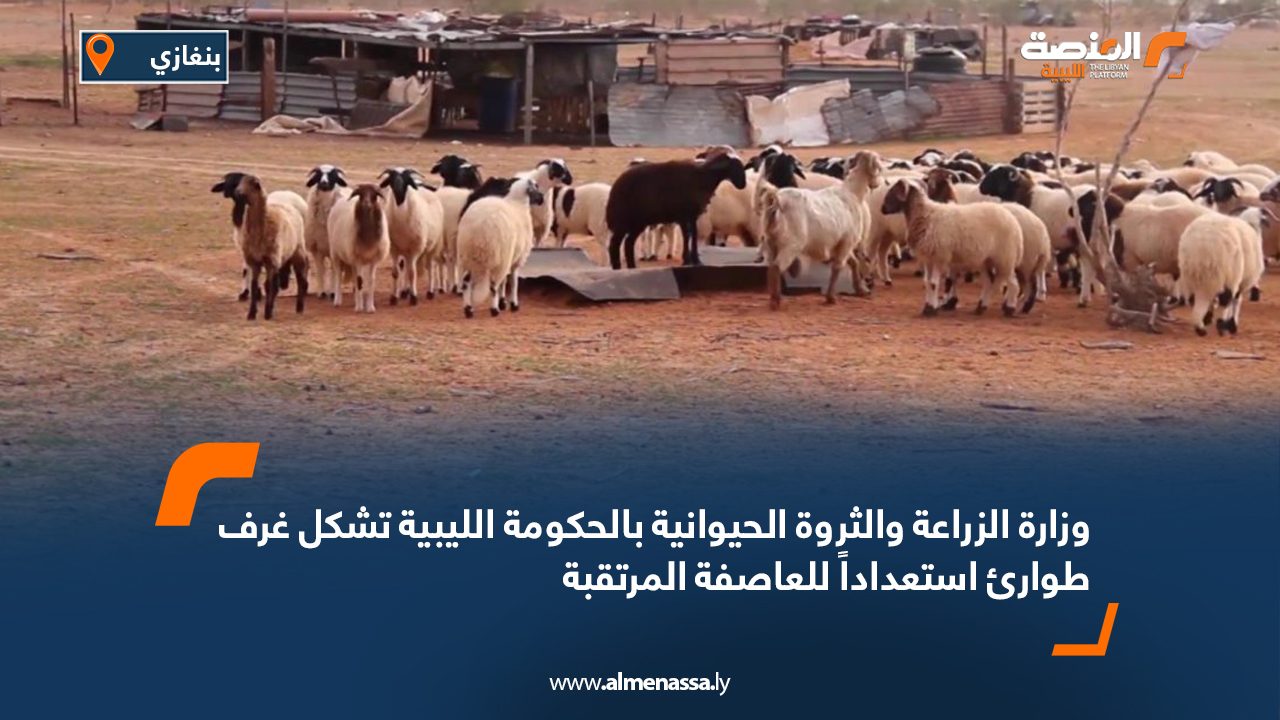 وزارة الزراعة والثروة الحيوانية بالحكومة الليبية تشكل غرف طوارئ استعداداً للعاصفة المرتقبة