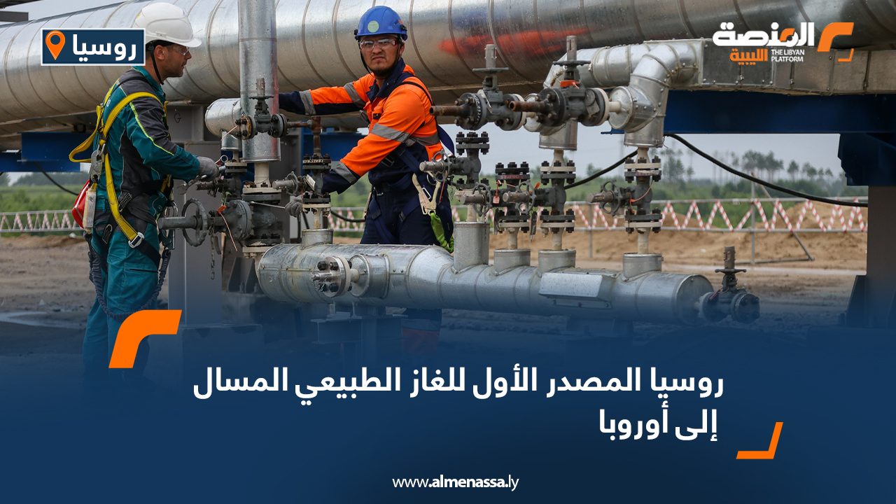 Wide-Web-766 Wide-Web-766