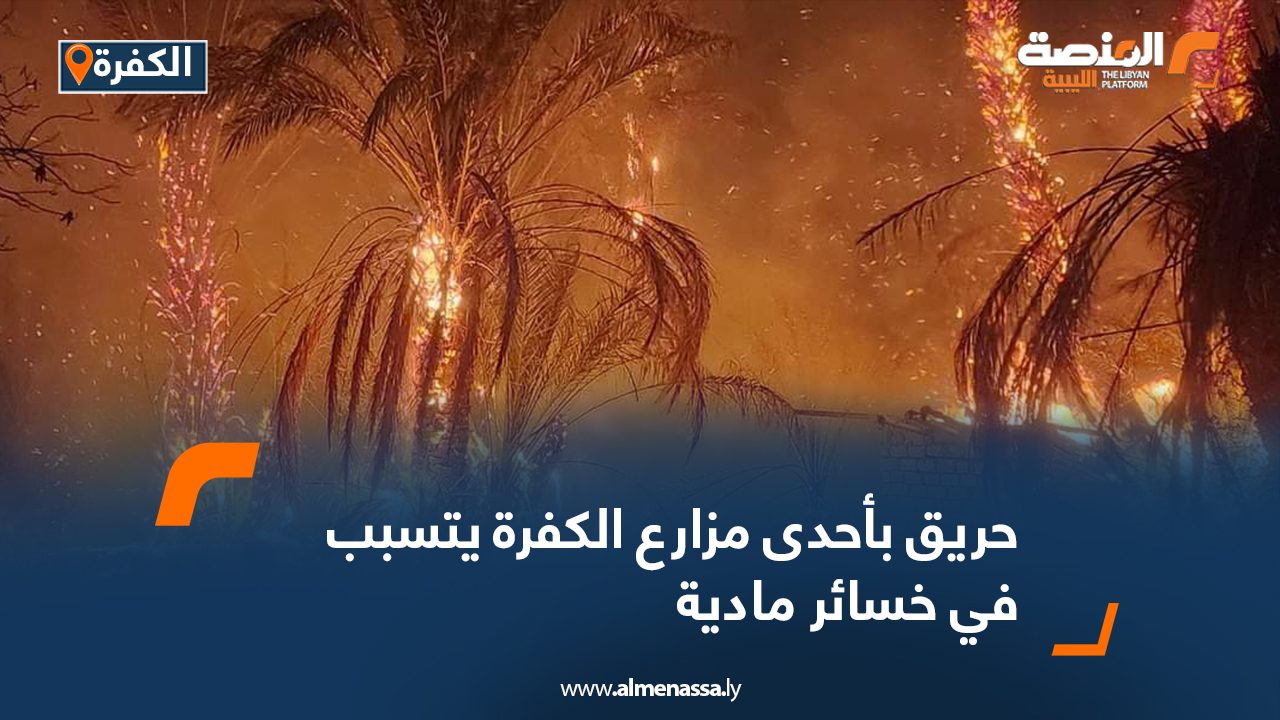 Wide-Web-778 Wide-Web-778