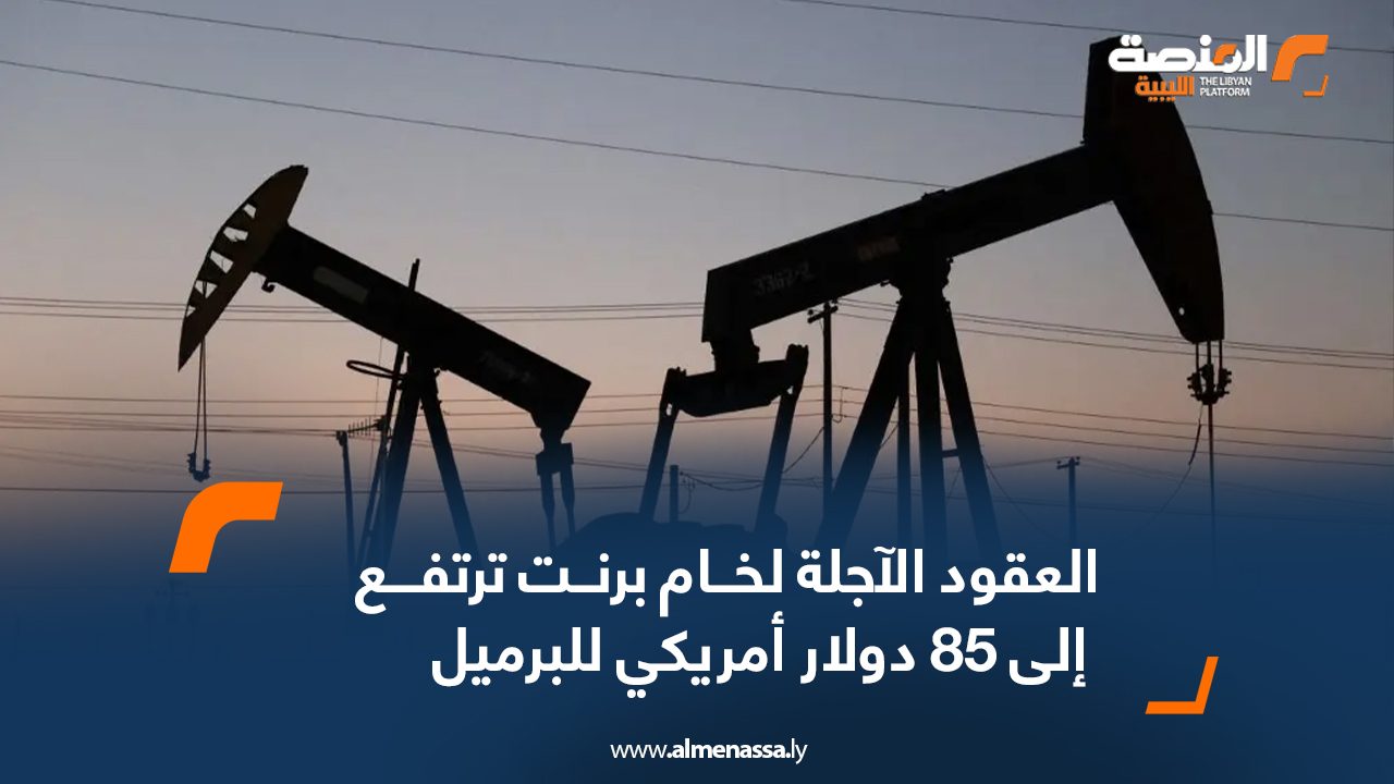 Wide-Web-786 Wide-Web-786