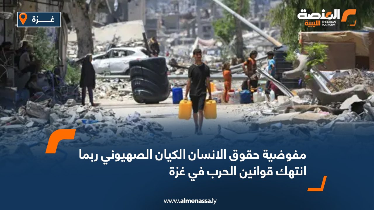 Wide-Web-806 Wide-Web-806