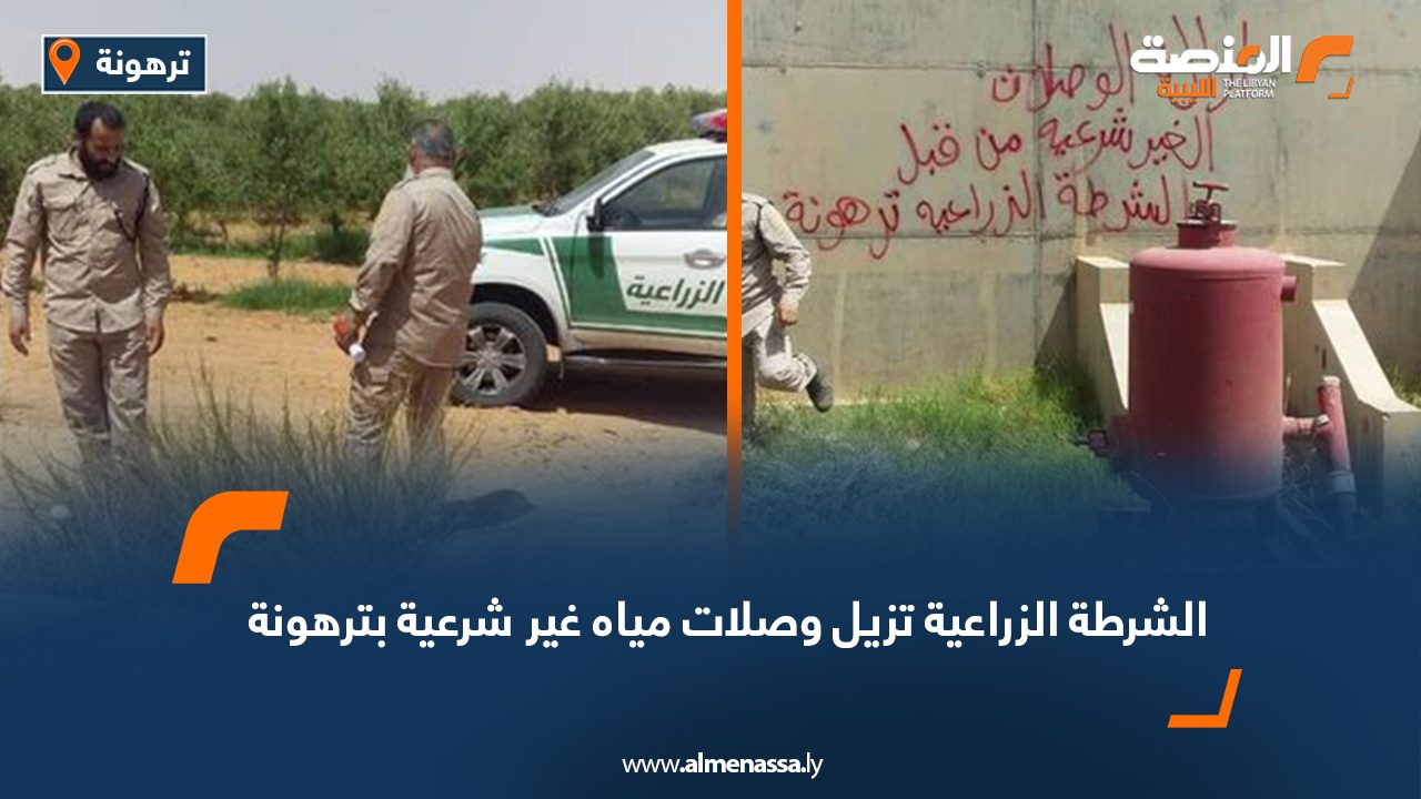 Wide-Web-828 Wide-Web-828