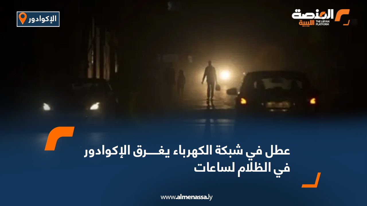 Wide-Web-839 Wide-Web-839