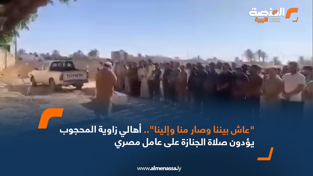 Wide-Web-844 Wide-Web-844