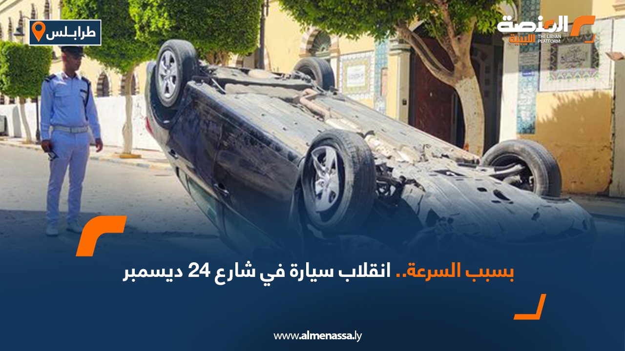 Wide-Web-849 Wide-Web-849