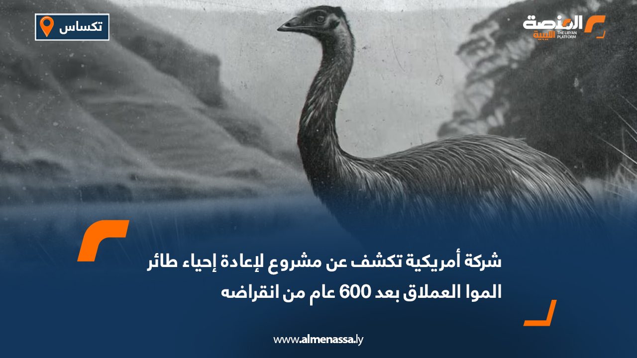 Wide Web شركة أمريكية تكشف عن مشروع لإعادة إحياء طائر الموا العملاق بعد 600 عام من انقراضه