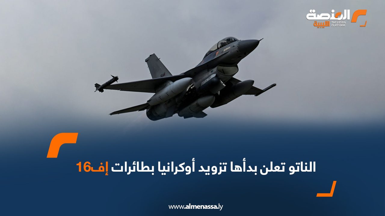 Wide-Web-891 Wide-Web-891