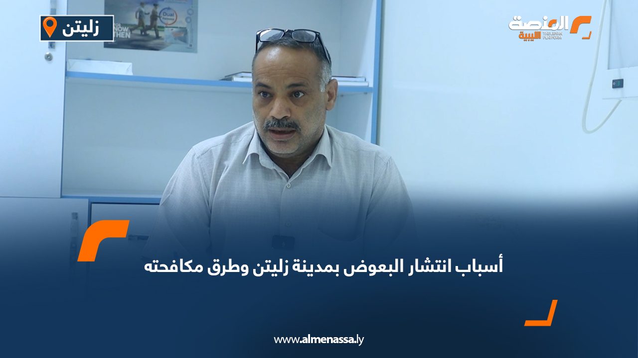 Wide-Web-893 Wide-Web-893