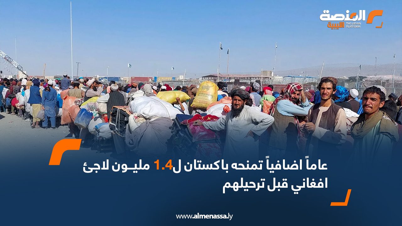 Wide-Web-899 Wide-Web-899