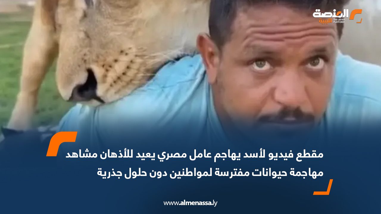 Wide Web مقطع فيديو لأسد يهاجم عامل مصري يعيد للأذهان مشاهد مهاجمة حيوانات مفترسة لمواطنين دون حلول جذرية
