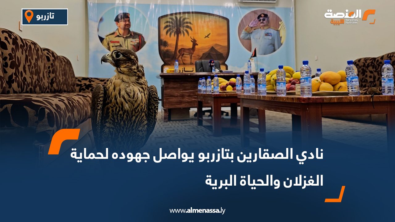 نادي الصقارين بتازربو يواصل جهوده لحماية الغزلان والحياة البرية نادي الصقارين بتازربو يواصل جهوده لحماية الغزلان والحياة البرية