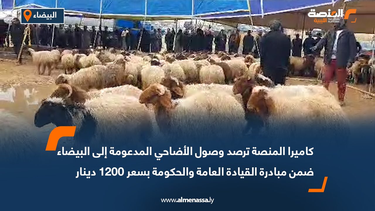 كاميرا المنصة ترصد وصول الأضاحي المدعومة إلى البيضاء ضمن مبادرة القيادة العامة والحكومة بسعر 1200 دينار