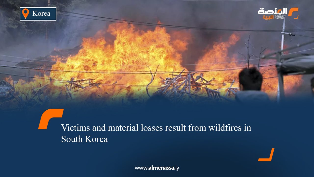 Victims and material losses result from wildfires in South Korea