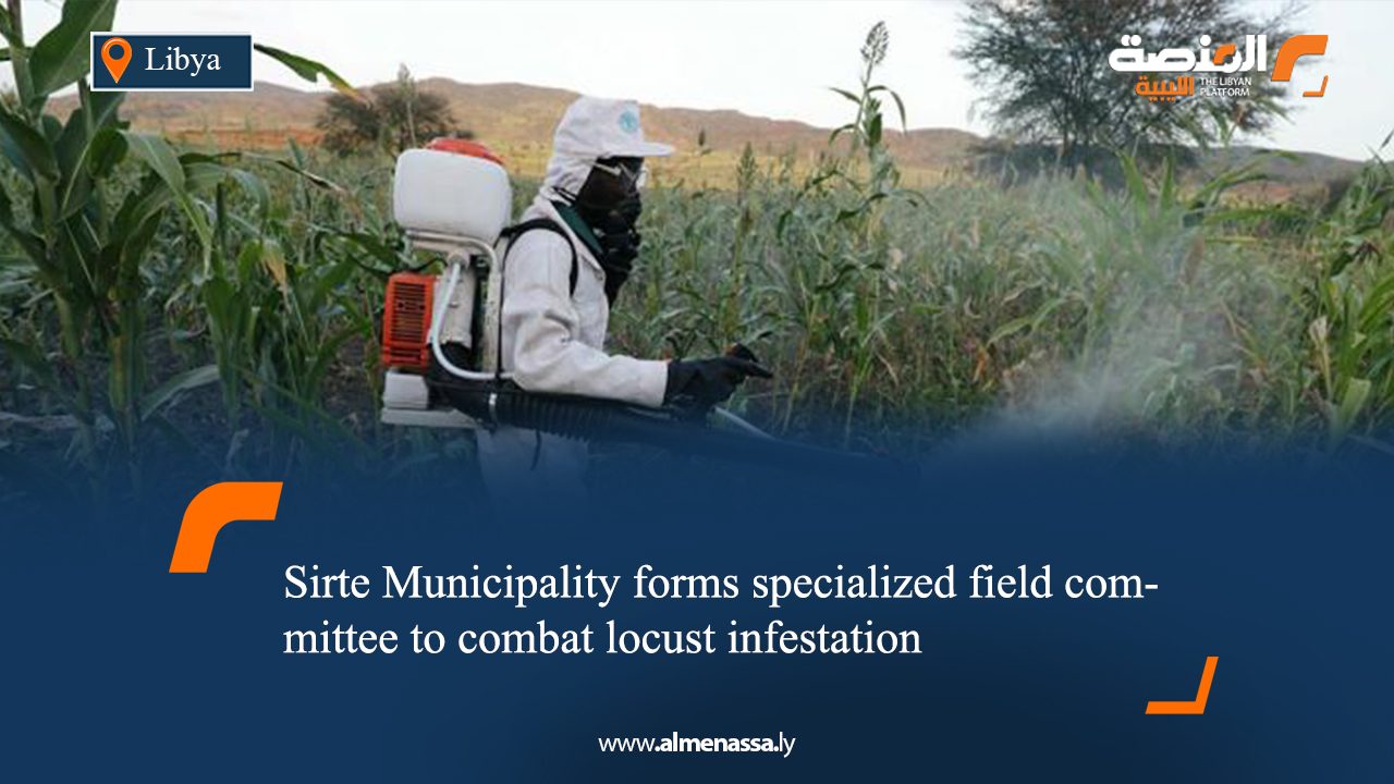 Sirte Municipality forms specialized field committee to combat locust infestation