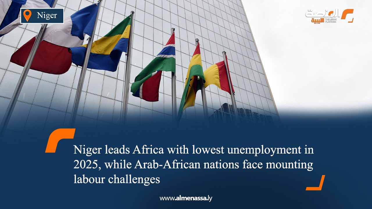 eng1 Niger leads Africa with lowest unemployment in 2025, while Arab-African nations face mounting labour challenges