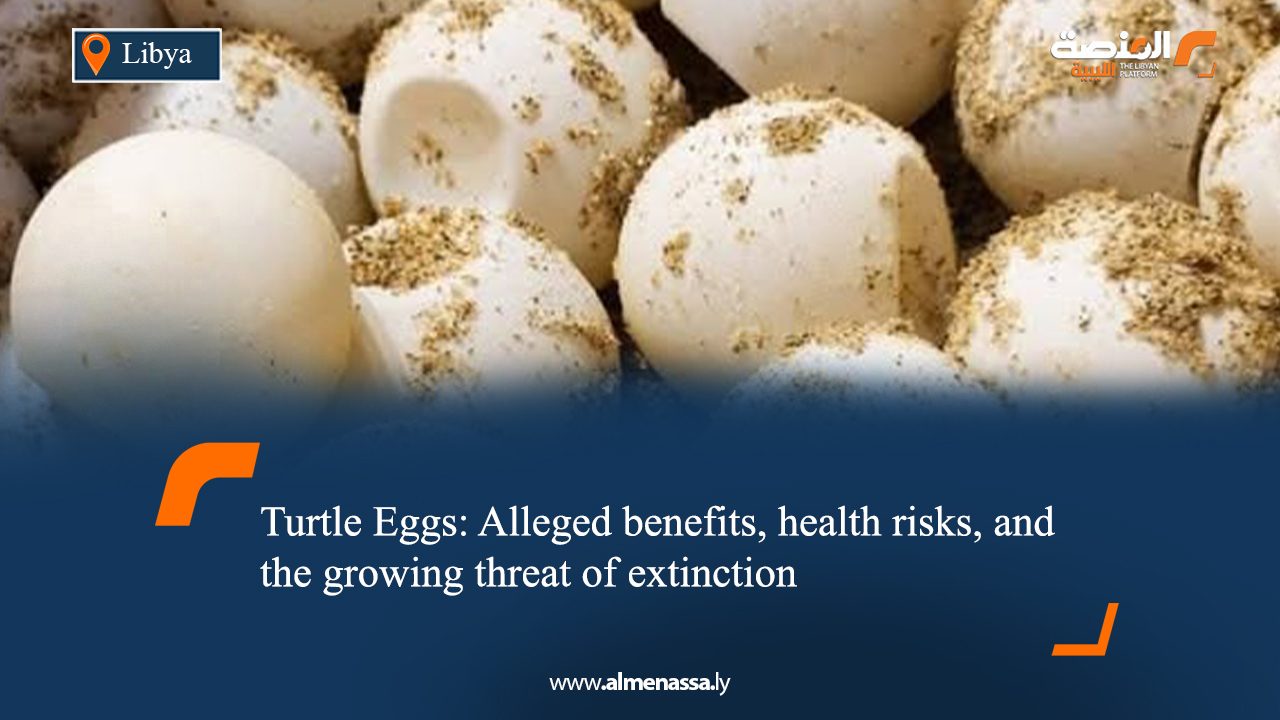 Turtle Eggs: Alleged benefits, health risks, and the growing threat of extinction