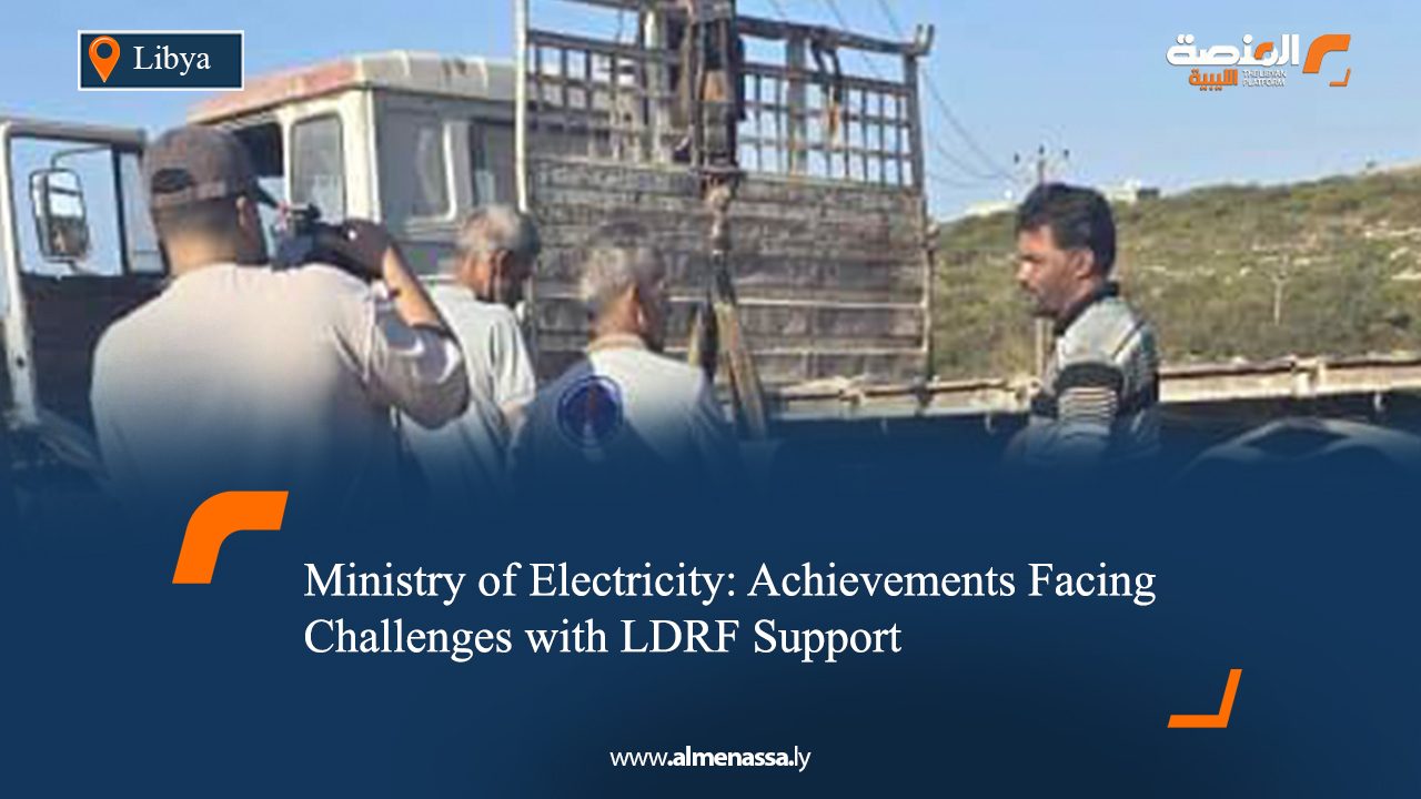 Ministry of Electricity: Achievements Facing Challenges with LDRF Support