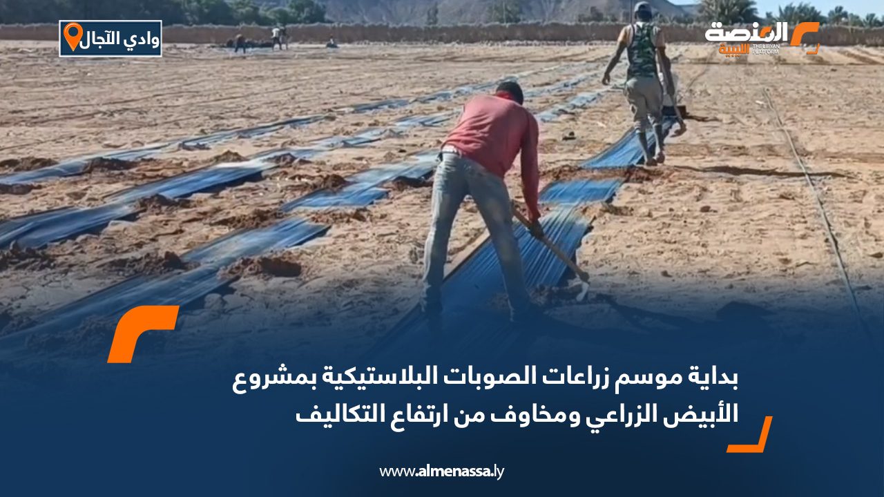 بداية موسم زراعات الصوبات البلاستيكية بمشروع الأبيض الزراعي ومخاوف من ارتفاع التكاليف