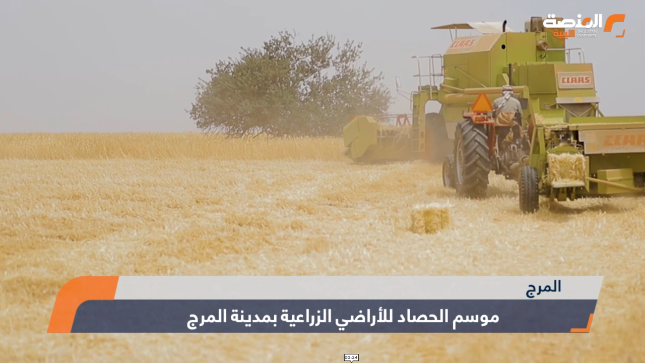 المرج حصاد